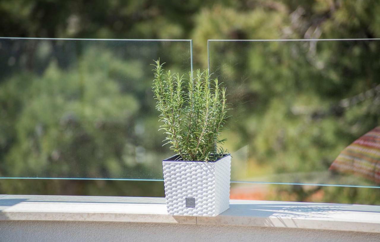 Luxury Apartments Novigrad Novigrad Istria المظهر الخارجي الصورة